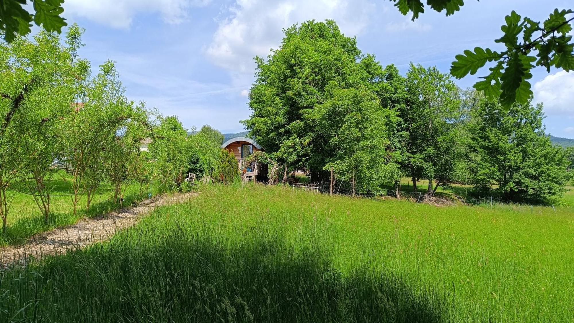 La Roulotte Tiny House Du Mond'Ideal Leval  Buitenkant foto